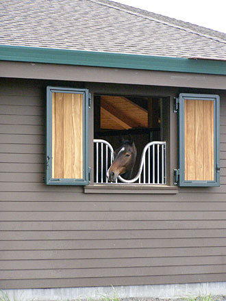 Horse Barn window