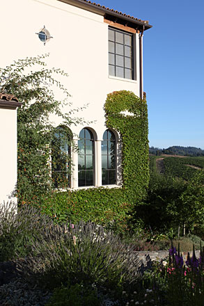 Contemporary Hacienda Exterior Side