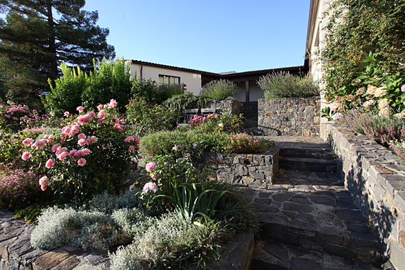 Contemporary Hacienda Rock Walls